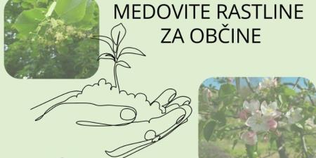 obcine 20.2