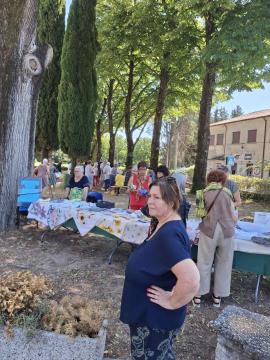 IMG-de0c15f03988a3efb0afb746d4715a00-V