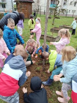 IMG-2bbdbd34095b1a432ea83a8750cfcbea-V