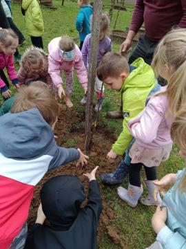 IMG-28ec073c0622df43de5d542bdc66083d-V