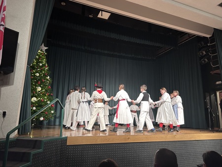 Nastop folklorne skupine