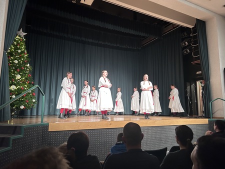 Nastop folklorne skupine
