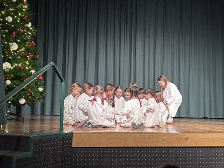 Nastop folklorne skupine