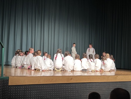 Nastop folklorne skupine